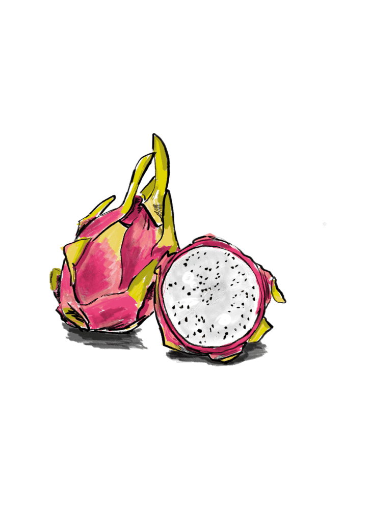 Dragon fruit uit Miljuschka Magazine #5